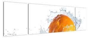 Obraz pomeranče (170x50cm)