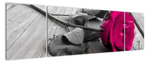 Růže fialová - obraz (170x50cm)