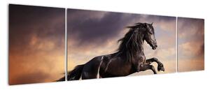 Kůň - obraz (170x50cm)