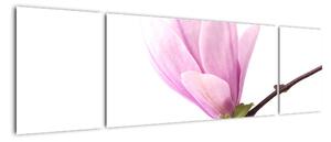 Květ - obraz (170x50cm)