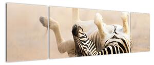 Obraz zebry (170x50cm)