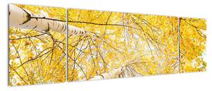 Podzimní listí - moderní obraz (170x50cm)