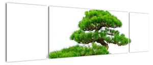 Bonsai - moderní obraz (170x50cm)