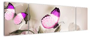 Motýl na květině - obraz (170x50cm)