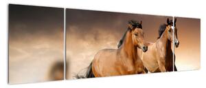 Koně - obraz (170x50cm)