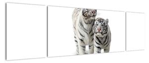 Tygr bílý - obraz (170x50cm)