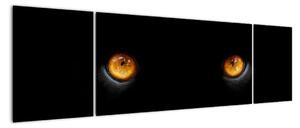 Zvířecí oči - obraz (170x50cm)