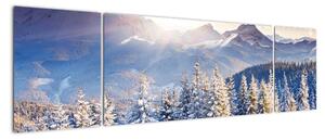 Fotka zimní krajiny - obraz (170x50cm)