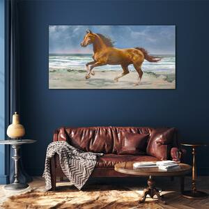 Obraz na skle Obraz na skle Pláž pobřeží koně moře vlny