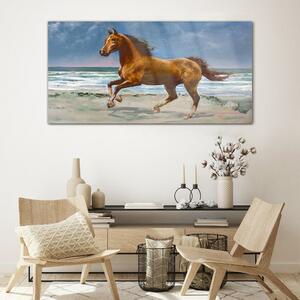 Obraz na skle Obraz na skle Pláž pobřeží koně moře vlny