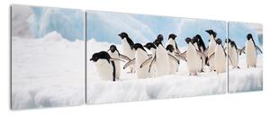 Tučňáci - obraz (170x50cm)