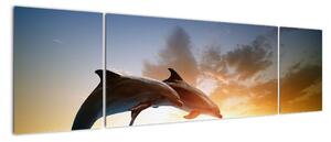 Delfíni - obraz (170x50cm)
