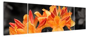Obraz květin (170x50cm)