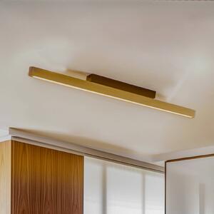 LED stropní svítidlo Forrestal, délka 90 cm
