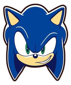 Fleecový dětský polštářek Sonic – Jerry Fabrics