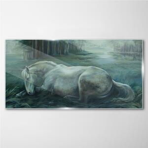 Obraz na skle Obraz na skle Lesní koně volně žijících živočichů