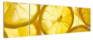 Plátky citrónů - obraz (170x50cm)