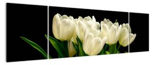 Bílé tulipány - obraz (170x50cm)