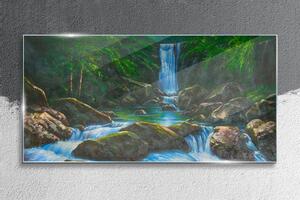 Obraz na skle Obraz na skle Vodopád skály stromů