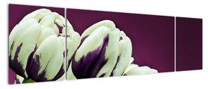 Makro tulipánů - obraz (170x50cm)