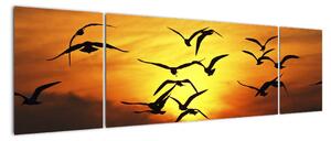 Obraz letících ptáků (170x50cm)