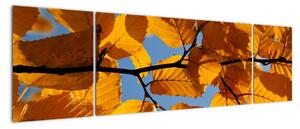 Podzimní listí - obraz (170x50cm)