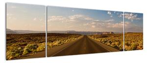 Panorama cesty - obraz (170x50cm)