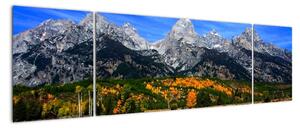 Panorama krajiny - obraz (170x50cm)