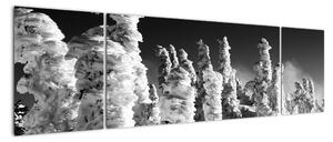 Obraz - zimní hory (170x50cm)