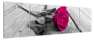 Obrazy květin - růže (170x50cm)