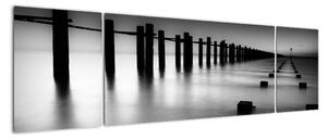 Černobílé moře - obraz (170x50cm)