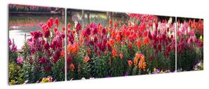 Obraz květinové zahrady (170x50cm)