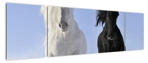Koně, obraz (170x50cm)