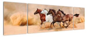 Obraz kůň (170x50cm)