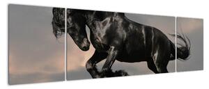 Černý kůň, obraz (170x50cm)