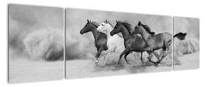 Obraz cválajících koňů (170x50cm)
