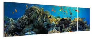 Obraz podmořského světa (170x50cm)