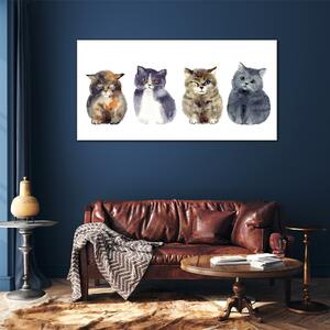 Obraz na skle Obraz na skle Zvířata Akvarel kočky