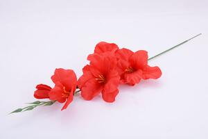 Umělé květy GLADIOLA červená