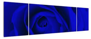 Detail modré růže - obraz (170x50cm)