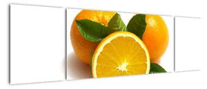 Pomeranče - obraz (170x50cm)