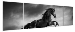 Obraz koně na stěnu (170x50cm)