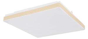 Globo 48296W - LED Stropní svítidlo RAINA LED/12W/230V