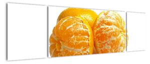 Pomeranče, obraz (170x50cm)