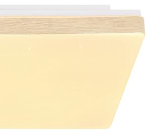 Globo 48296W - LED Stropní svítidlo RAINA LED/12W/230V