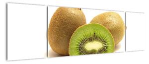 Kiwi, obraz (170x50cm)
