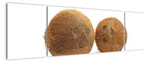 Kokosový ořech, obraz (170x50cm)