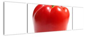 Paprika červená, obraz (170x50cm)