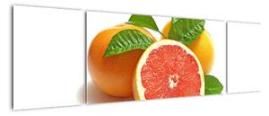 Grapefruit, obraz (170x50cm)