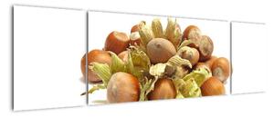 Lískové ořechy - obrazy (170x50cm)